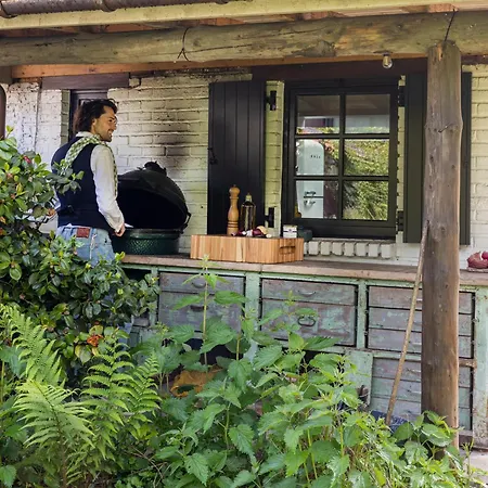 La Petite Foret In Brussels Countryside