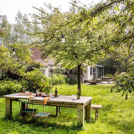 La Petite Foret In Brussels Countryside * Asse