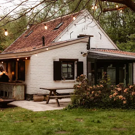 La Petite Foret In Brussels Countryside Asse